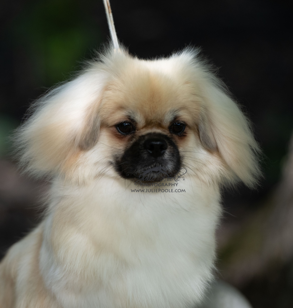 DSC_6064
